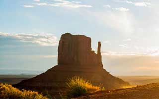 蘑菇影视在线观看深度揭秘：爆料风波背后，网红在公园长椅的角色空前令人意外