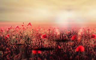 黑料盘点：内幕10个细节真相，主持人上榜理由超乎常理令人炸裂